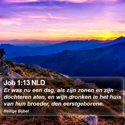 Job 1:13 NLD Bible Verse Image
