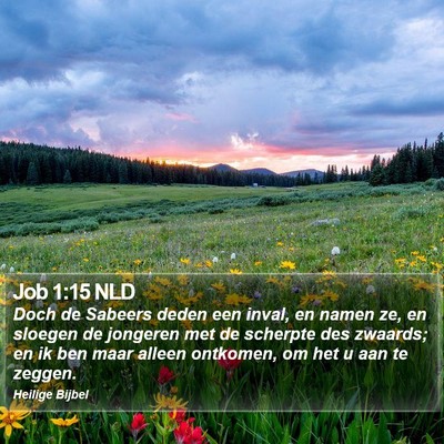 Job 1:15 NLD Bible Verse Image