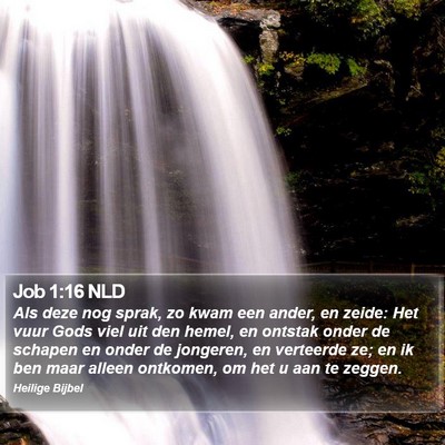 Job 1:16 NLD Bible Verse Image