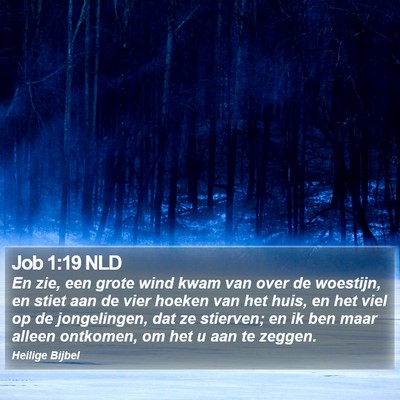 Job 1:19 NLD Bible Verse Image