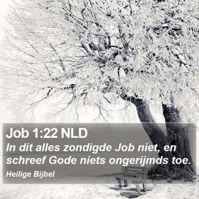 Job 1:22 NLD Bible Verse Image