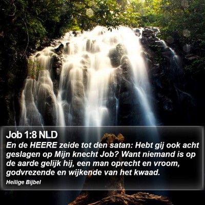 Job 1:8 NLD Bible Verse Image