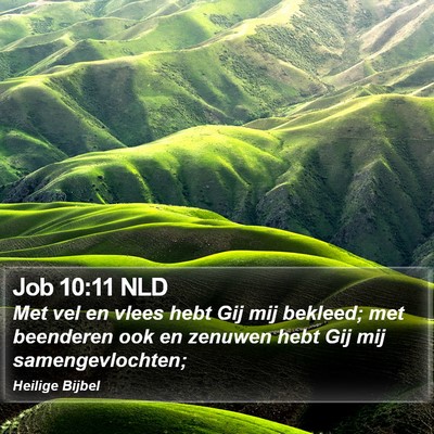Job 10:11 NLD Bible Verse Image