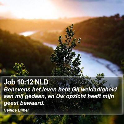Job 10:12 NLD Bible Verse Image