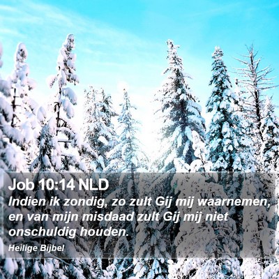 Job 10:14 NLD Bible Verse Image