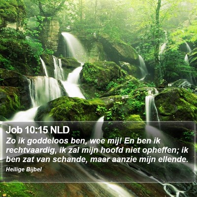 Job 10:15 NLD Bible Verse Image