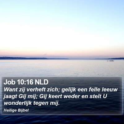 Job 10:16 NLD Bible Verse Image