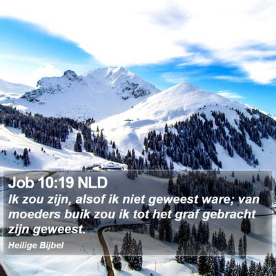 Job 10:19 NLD Bible Verse Image