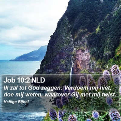 Job 10:2 NLD Bible Verse Image