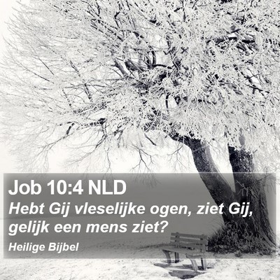 Job 10:4 NLD Bible Verse Image