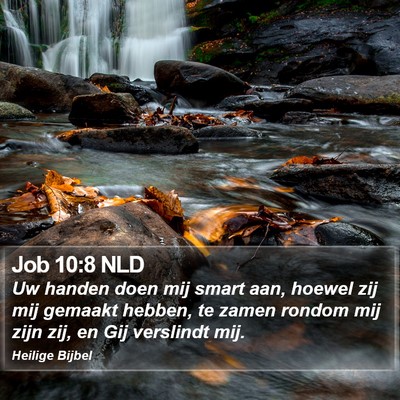 Job 10:8 NLD Bible Verse Image