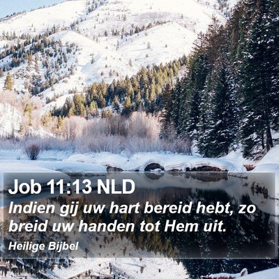 Job 11:13 NLD Bible Verse Image