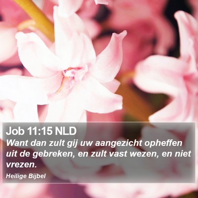Job 11:15 NLD Bible Verse Image