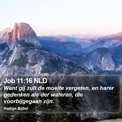 Job 11:16 NLD Bible Verse Image