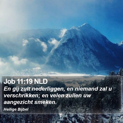 Job 11:19 NLD Bible Verse Image