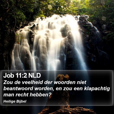 Job 11:2 NLD Bible Verse Image