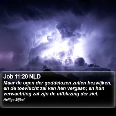 Job 11:20 NLD Bible Verse Image
