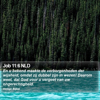 Job 11:6 NLD Bible Verse Image
