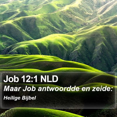 Job 12:1 NLD Bible Verse Image