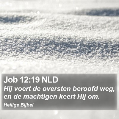 Job 12:19 NLD Bible Verse Image