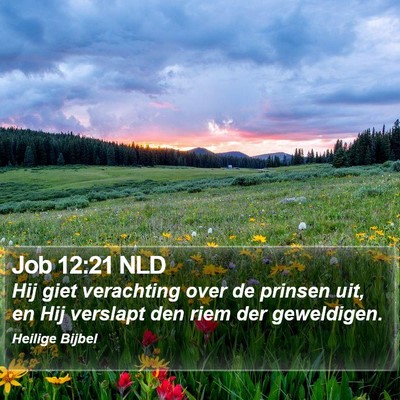 Job 12:21 NLD Bible Verse Image