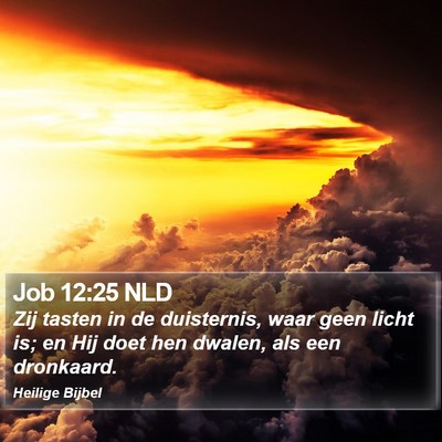 Job 12:25 NLD Bible Verse Image