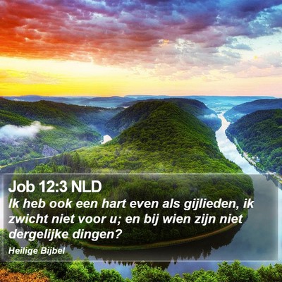 Job 12:3 NLD Bible Verse Image