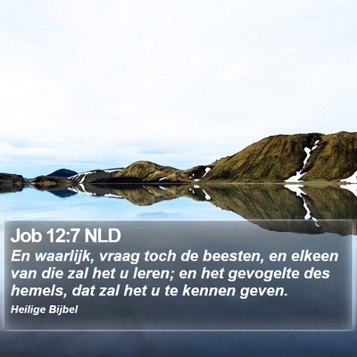 Job 12:7 NLD Bible Verse Image