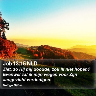 Job 13:15 NLD Bible Verse Image