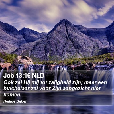Job 13:16 NLD Bible Verse Image
