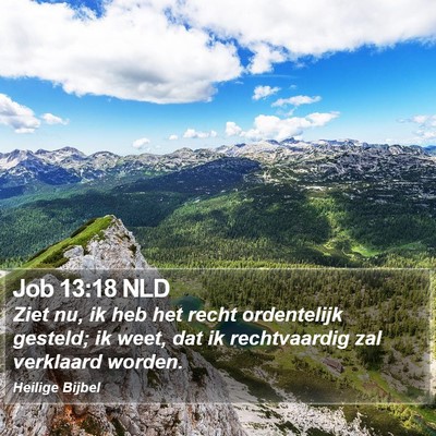 Job 13:18 NLD Bible Verse Image