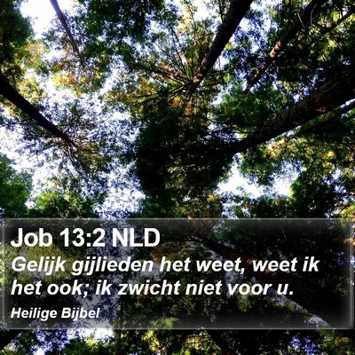 Job 13:2 NLD Bible Verse Image