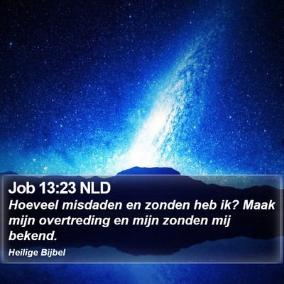 Job 13:23 NLD Bible Verse Image