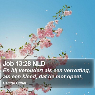 Job 13:28 NLD Bible Verse Image