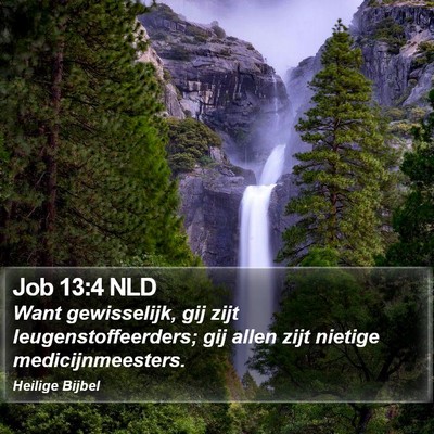 Job 13:4 NLD Bible Verse Image