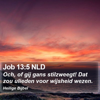 Job 13:5 NLD Bible Verse Image