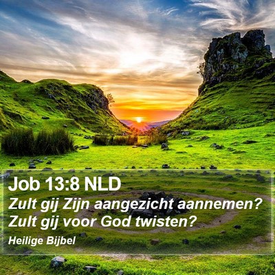 Job 13:8 NLD Bible Verse Image