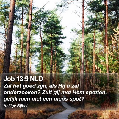 Job 13:9 NLD Bible Verse Image