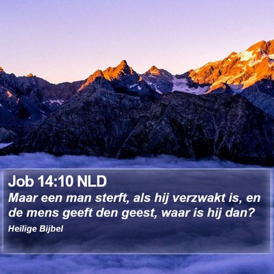 Job 14:10 NLD Bible Verse Image