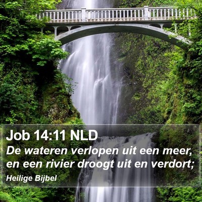 Job 14:11 NLD Bible Verse Image