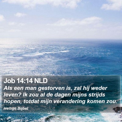 Job 14:14 NLD Bible Verse Image
