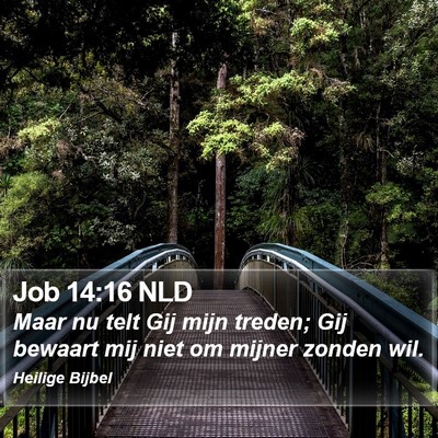 Job 14:16 NLD Bible Verse Image