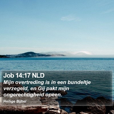 Job 14:17 NLD Bible Verse Image