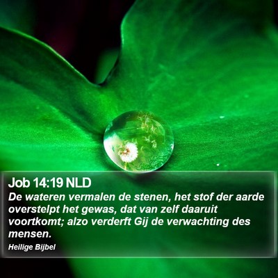 Job 14:19 NLD Bible Verse Image