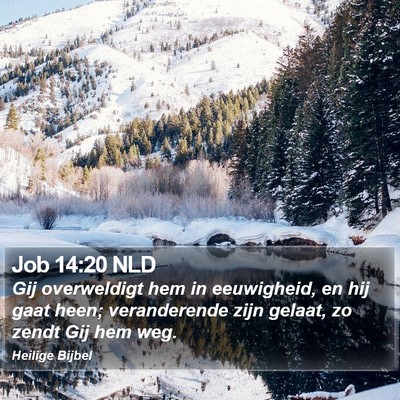 Job 14:20 NLD Bible Verse Image