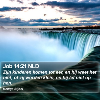 Job 14:21 NLD Bible Verse Image