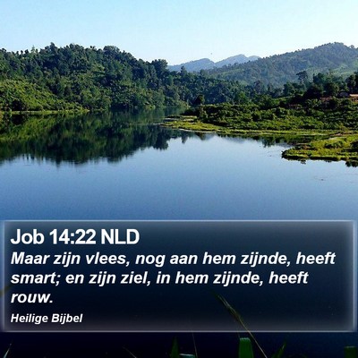 Job 14:22 NLD Bible Verse Image