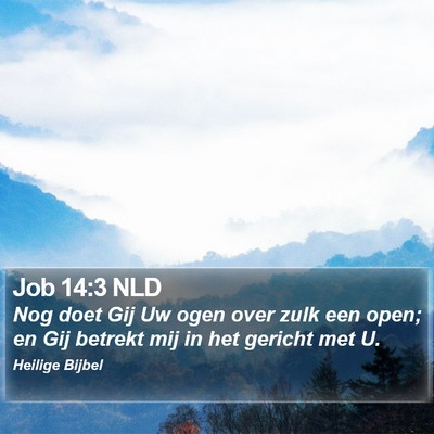 Job 14:3 NLD Bible Verse Image