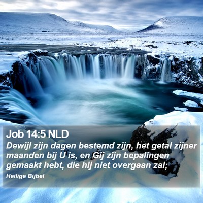 Job 14:5 NLD Bible Verse Image