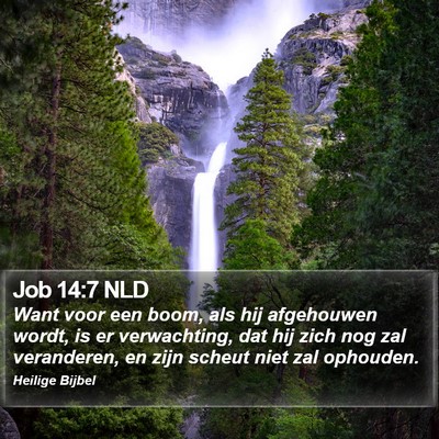 Job 14:7 NLD Bible Verse Image